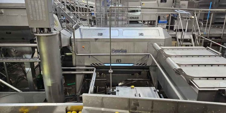 Precision Peeling Economics: How MK Agro’s Finnish Technology Partnership Is Redefining Processing Efficiency and Yield Optimization