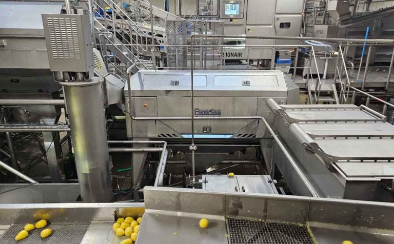 Precision Peeling Economics: How MK Agro's Finnish Technology Partnership Is Redefining Processing Efficiency and Yield Optimization 45 Precision Peeling Economics: How MK Agro’s Finnish Technology Partnership Is Redefining Processing Efficiency and Yield Optimization