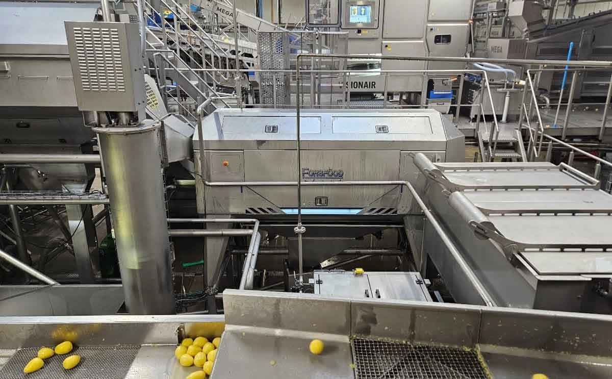 Ekonomi Pengupasan Presisi: Bagaimana Kemitraan Teknologi Finlandia MK Agro Mendefinisikan Ulang Efisiensi Pengolahan dan Optimalisasi Hasil Panen