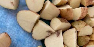 Australian Potato Growers to Receive Landmark Compensation for Virus-Affected Seeds