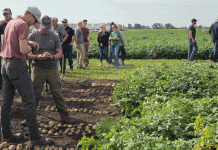 파트너십 구축: Agristo의 450억 XNUMX천만 달러 투자가 노스다코타 재배자와 글로벌 감자 가공업체 간의 새로운 연결고리를 어떻게 구축하고 있는가