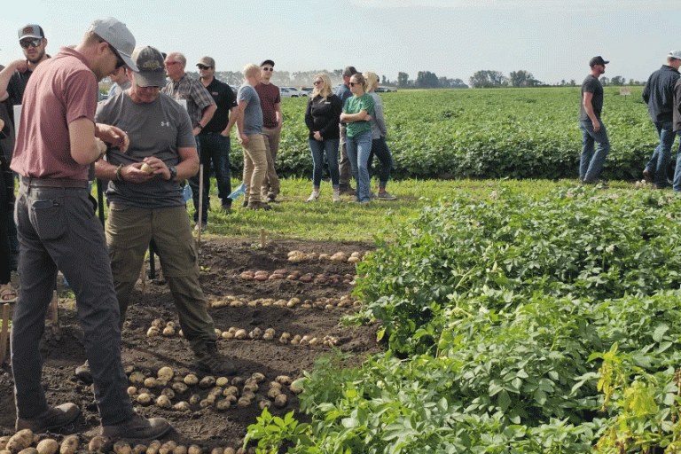Building Partnerships: How Agristo’s $450M Investment is Forging New Links Between North Dakota Growers and Global Potato Processing