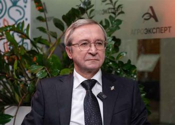 Russian Potato Union Acknowledges Quality Shortage as Price Regulation Debate Heats Up