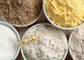 Russia’s Deep Processing Sector: Mixed 2025 Results, Biotech Shift, and the Long Road to Self-Sufficiency