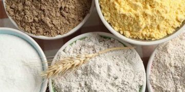 Russia’s Deep Processing Sector: Mixed 2025 Results, Biotech Shift, and the Long Road to Self-Sufficiency