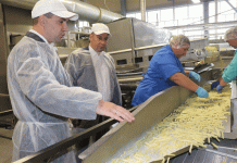 Més enllà de les patates fregides: Bielorússia traça un nou rumb amb el processament de patates amb valor afegit