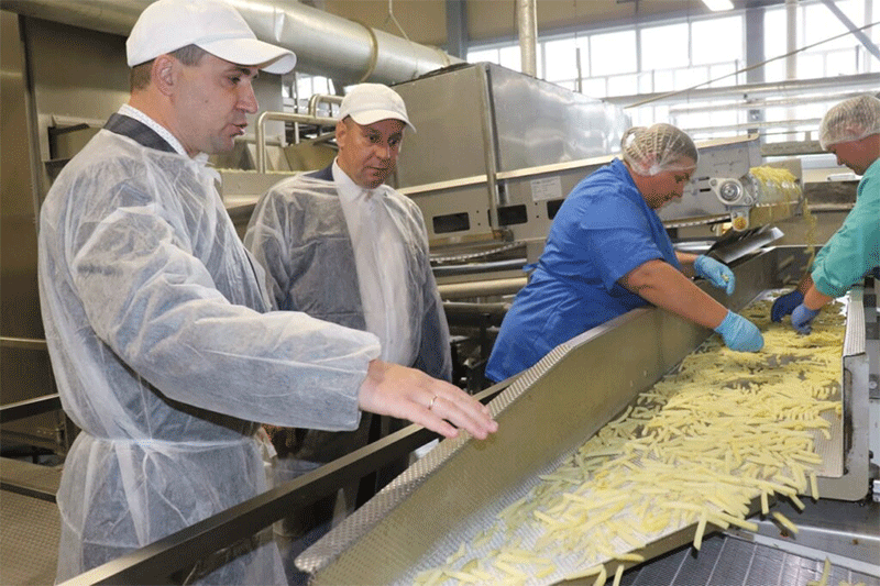 Más allá de las papas fritas: Bielorrusia traza un nuevo rumbo con el procesamiento de papas con valor agregado