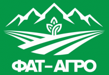 Securing the Future of the Russian Potato: Inside the “Bank of Healthy Varieties”