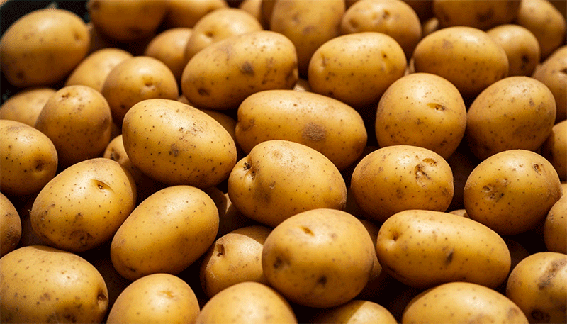 Porno mushak ayol Fohisha xotini va dostim ortasidagi jinsiy aloqa video