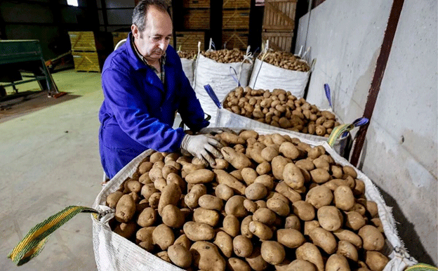 Decline in Potato Farming in Burgos: Challenges, Costs, and Uncertain Future 24 Decline in Potato Farming in Burgos: Challenges, Costs, and Uncertain Future
