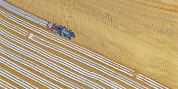 Revolutionizing Agriculture in China: The Rise of High-Standard Farmland and Water-Saving Technologies