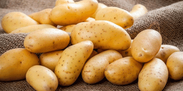 Brazil’s Potato Market Faces Price Fluctuations Amid End of Winter Harvest in São Paulo