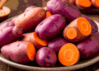 Beyond the Color: A Strategic Agronomic and Market Analysis of Pigmented Sweet Potato Varieties