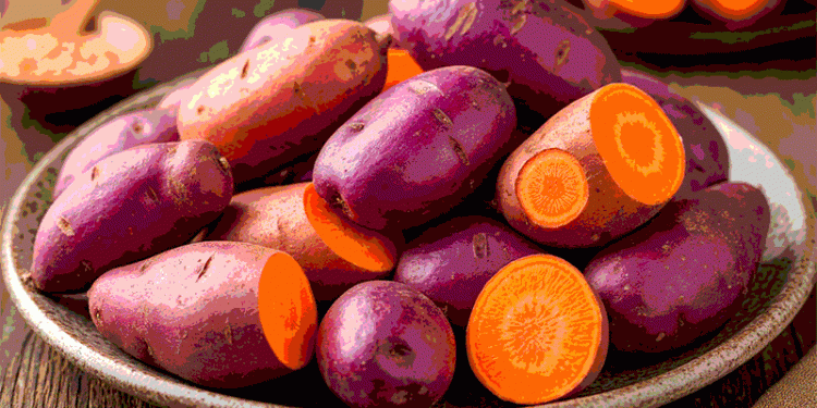 Beyond the Color: A Strategic Agronomic and Market Analysis of Pigmented Sweet Potato Varieties