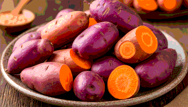 Beyond the Color: A Strategic Agronomic and Market Analysis of Pigmented Sweet Potato Varieties