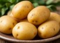 Dutch Agri-Tech Pioneer Solynta Secures Majority Investment from Germany’s EW Group to Scale True Potato Seed Technology Globally
