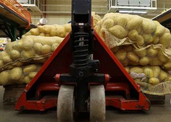 AI on the Farm: French Students Develop Automated Potato Counting System
