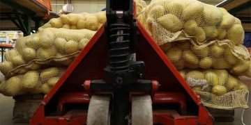 AI on the Farm: French Students Develop Automated Potato Counting System