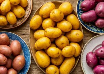 Genomic Breakthrough Cuts Potato Breeding Time in Half: A New Era for Tetraploid Crop Improvement