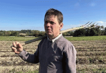 Water or Bust: The Irrigated Future of Potato Production in a Drying Climate