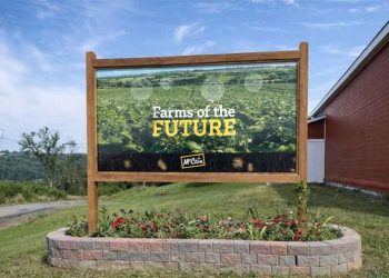 McCain’s UK ‘Farm of the Future’: A Global Blueprint for Regenerative Potato Production