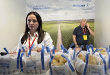 Beyond the Table: How Specialized Potato Varieties are Unlocking New Markets in Central Asia