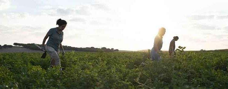 Patatas Meléndez Champions Rural Women’s Leadership with a Series of Forums Across Spain