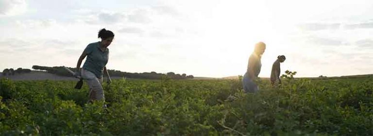 Patatas Meléndez Champions Rural Women's Leadership with a Series of Forums Across Spain 40 Patatas Meléndez Champions Rural Women’s Leadership with a Series of Forums Across Spain