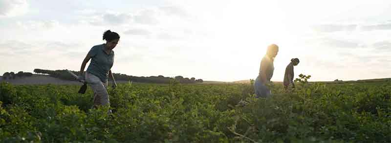 Patatas Meléndez Champions Rural Women’s Leadership with a Series of Forums Across Spain
