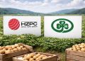 Market Consolidation in Action: HZPC Acquires IPM, Reshaping the Global Seed Potato Landscape