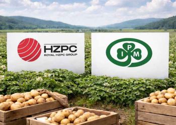 Market Consolidation in Action: HZPC Acquires IPM, Reshaping the Global Seed Potato Landscape