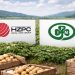 Market Consolidation in Action: HZPC Acquires IPM, Reshaping the Global Seed Potato Landscape