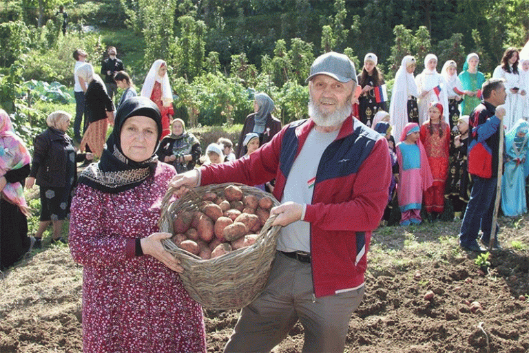 Beyond the Headlines: What a Single Variety Trial in Dagestan Reveals About Modern Potato Potential 49 Beyond the Headlines: What a Single Variety Trial in Dagestan Reveals About Modern Potato Potential