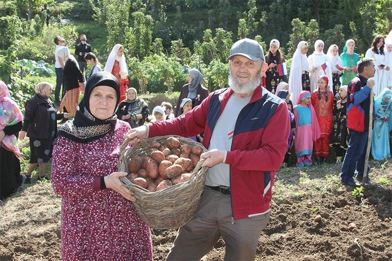 Beyond the Headlines: What a Single Variety Trial in Dagestan Reveals About Modern Potato Potential
