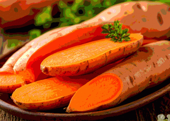 From Bumper Harvest to Market Glut: A Case Study in Nigeria’s Sweet Potato Price Collapse and Systemic Vulnerability