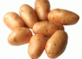 The High Cost of Potato Farming: Why Labor and Low Yields Drive Up Vegetable Prices