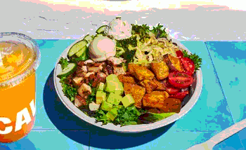 Beyond the Orange Flesh: How Consumer Demand is Driving the Commercial Renaissance of White Sweet Potatoes