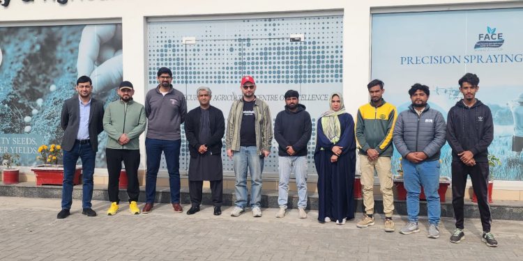 Industrial Transformation and Technological Modernization of Pakistan’s Potato Sector: A Comprehensive Analytical Report