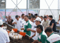 Kerinci’s Breakthrough in Potato Seed Independence: A Model for Sustainable Agriculture