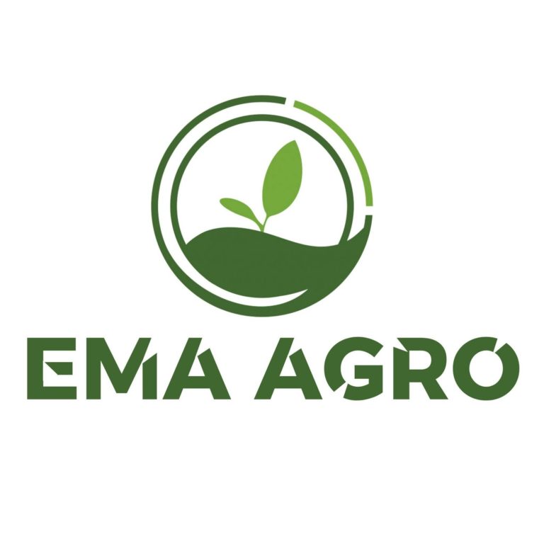 EMA AGRO აზერბაიჯანში 36-ე საერთაშორისო კარტოფილის ტურის რეგიონული პარტნიორი გახდა EMA AGRO აზერბაიჯანში კარტოფილის საერთაშორისო ტურის რეგიონული პარტნიორი გახდა