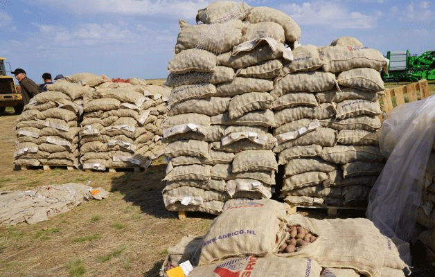 Innovative Irrigation, Elite Seeds, and Sustainable Farming: How Aktogai Farmers Are Raising the Bar