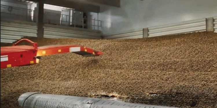 Revolutionizing Potato Storage: Key Insights from the NAPSO-PAA Symposium and the Future of Post-Harvest Innovation