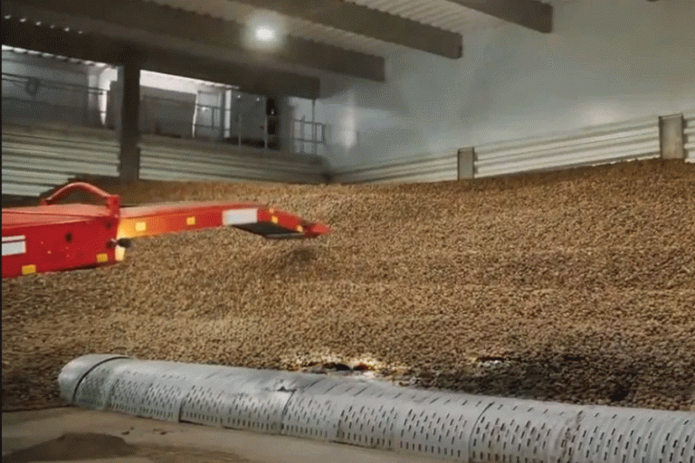 Revolutionizing Potato Storage: Key Insights from the NAPSO-PAA Symposium and the Future of Post-Harvest Innovation