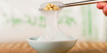 Biodegradable Potato Starch Glue: A Sustainable Innovation for Packaging and Beyond