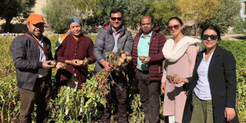 Tribal Farmers of Leh District Boost Yields with ICAR-CPRI Improved Potato Varieties