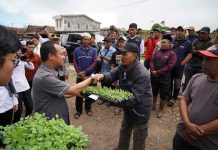 Beyond Free Seed: A Strategic Model for Regional Food Security and Farmer Profitability