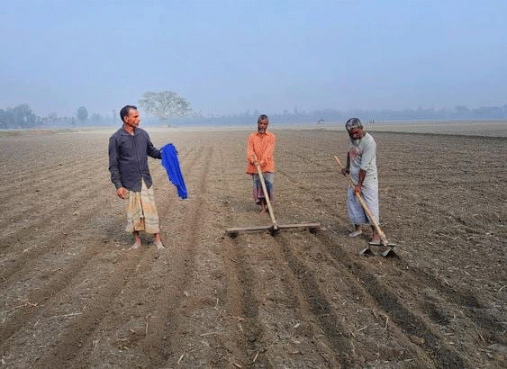 Potato Cultivation Thrives in the District: Farmers Optimistic for a Bumper Harvest 52 Potato Cultivation Thrives in the District: Farmers Optimistic for a Bumper Harvest