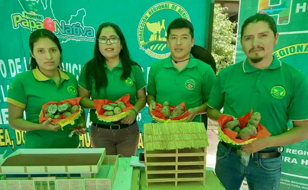 El impulso del Perú al cultivo de papas nativas: un ambicioso plan para lograr una producción de alta calidad al 2025