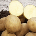 Decoding the Potato: How Historical Genomes Could Revolutionize Future Breeding