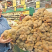 How Retail Trends Are Redefining Potato Demand: Insights for Agri-Professionals